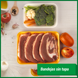Bandejas sin Tapa