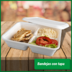 Bandejas con Tapas